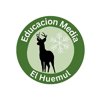 captura de pantalla 2024 12 15 a la s 12 42 40